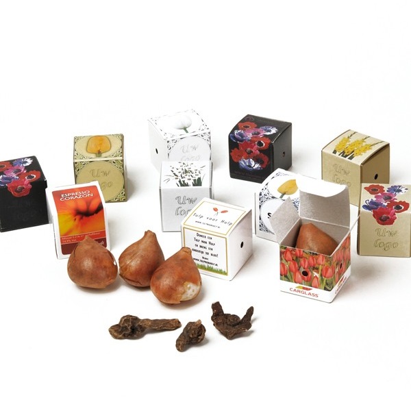 Mini Box mit Blumenzwiebeln - Bild 5
